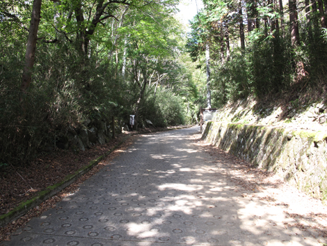 20181025hike (11)